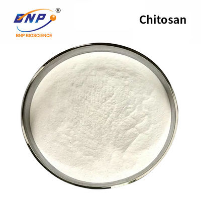 Bột Chitosan trắng Chitin Trọng lượng phân tử thấp Nano Partical