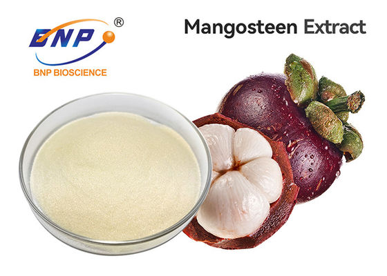 100% bột rau quả tự nhiên Bổ sung 30% Polyphenol Chiết xuất Garcinia Mangostana