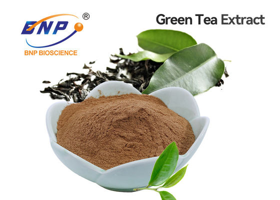 Chiết xuất trà xanh Polyphenol trà 20% -98% Bột màu nâu, trắng