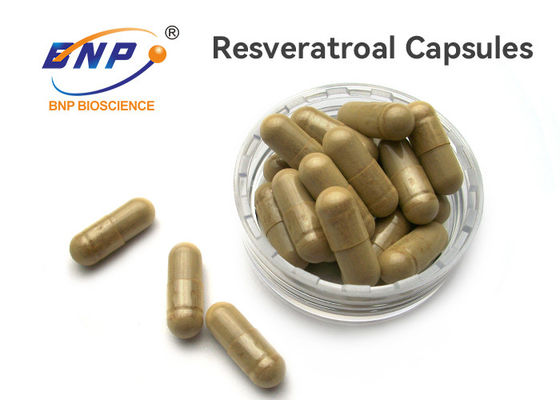 100% tự nhiên OEM bổ sung 100mg Resveratrol Capsules
