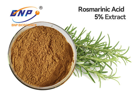 Chiết xuất hương thảo chất lượng cao đạt tiêu chuẩn GMP với 5% axit Carnosic và Carnosol