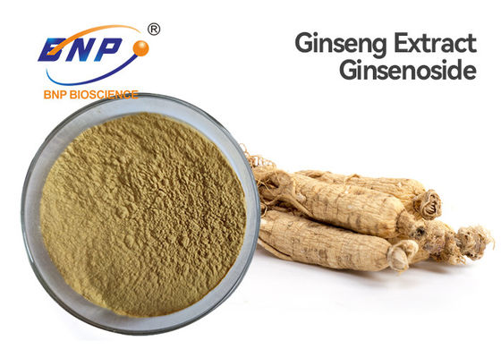 Ginsenoside 80% chiết xuất thực vật tự nhiên Bột chiết xuất nhân sâm nâu
