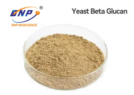 Chất dinh dưỡng tự nhiên Men vàng nhạt Beta Glucan 80% Polysacarit Bột GMP