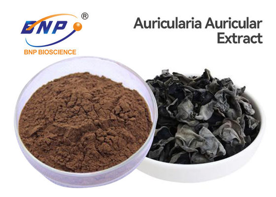 100% bột chiết xuất từ ​​nấm tự nhiên Jew's Ear Auricularia Auricula