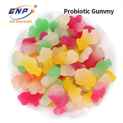 Kẹo cao su Probiotic hàng ngày không đường cho hệ tiêu hóa Kẹo dẻo Kẹo dẻo bổ sung chế độ ăn uống