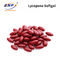 Hợp đồng dược phẩm Lycopene Softgel Lycopene Multivitamin Multimineral Softgel