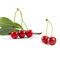 Chất lượng cao chống lão hóa 17% Vitamin C Acerola Cherry Extract Powder