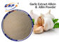 Thực phẩm kháng sinh Allium Sativum Extract White Powder Nhãn hiệu BNP