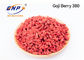 Vị ngọt khô Goji Berry Extract BNP Chinese Wolfberry Powder