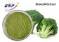 Bột mầm bông cải xanh hữu cơ màu xanh lá cây nhạt Thực phẩm lớp 80 lưới