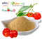Công nghiệp dược phẩm Acerola Cherry Powder Vintamin C 10% được chứng nhận GMP