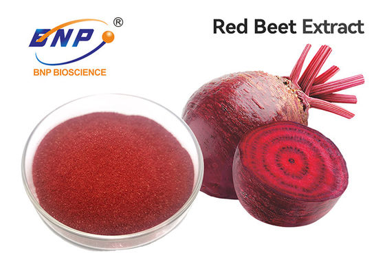 Bột trái cây và rau màu tím Bổ sung 100% chiết xuất từ ​​rễ củ cải đỏ tự nhiên