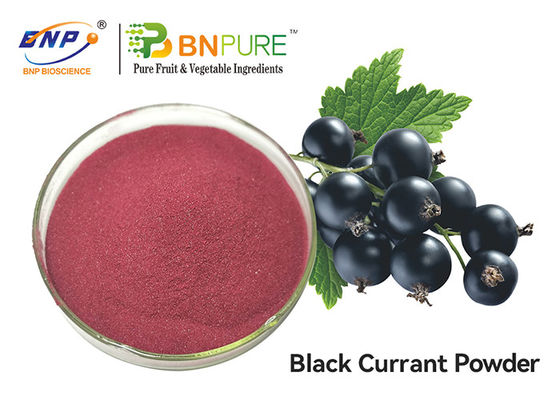 Màu đỏ tím Nước ép quả lý chua đen Bột thực phẩm Cấp độ sườn Chiết xuất trái cây Nigrum