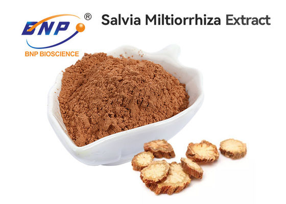 Chất lượng hàng đầu chiết xuất từ ​​rễ cây Salvia từ nhà máy BNP