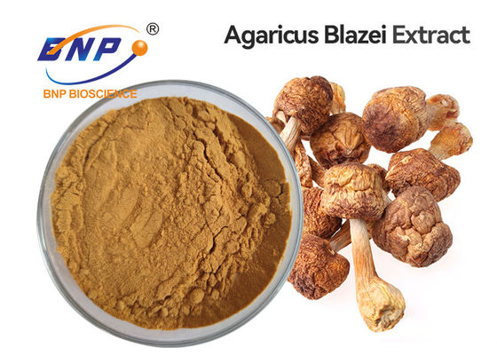 Chất bổ sung chăm sóc sức khỏe Chiết xuất nấm Bột Agaricus Blazei Murill hữu cơ
