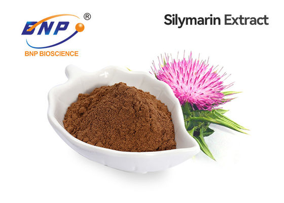 30% Silybin 80% Silymarin Chiết xuất Silymarin Bột chiết xuất từ ​​cây kế sữa GMP cho gan