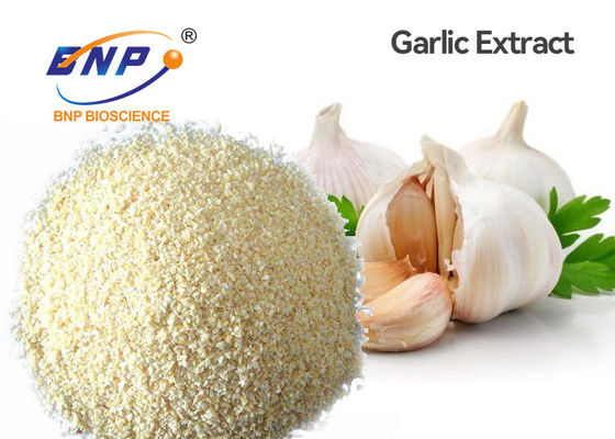 Kháng sinh Allium Sativum Bulb Extract 5% Allicin Fine Powder