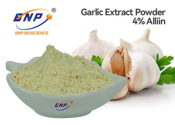 Bột chiết xuất tỏi không mùi GMP 4% Allicin BNP Brand