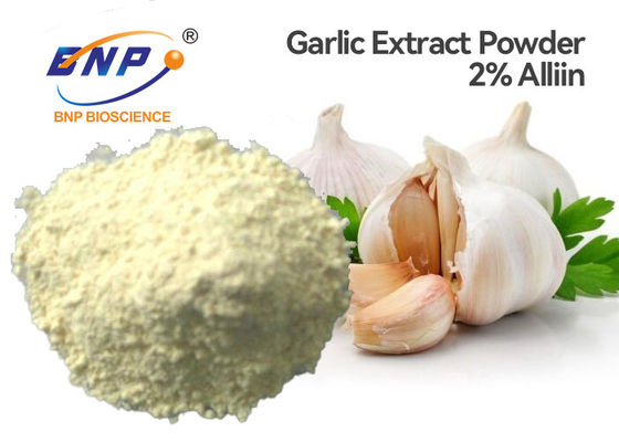 Bột chiết xuất tỏi không mùi màu trắng Kiểm tra 2% Allicin HPLC