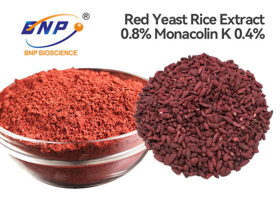 BNP men gạo đỏ Monascus Purpureus Extract 0,4% Monacolin-K