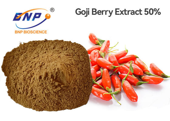 Lycium Berry Wolfberry Extract Powder 80 Mesh 50% Polysaccharide