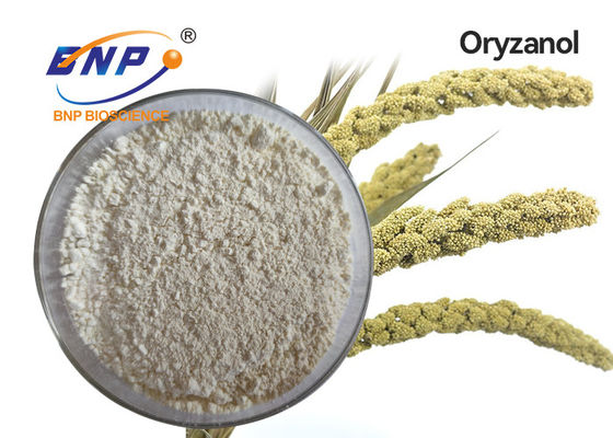 CAS số 11042-64-1 Chiết xuất thực vật tự nhiên Bột Gamma Oryzanol trắng tinh thể