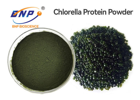 Chất chiết xuất từ ​​thực vật tự nhiên cấp thực phẩm GMP Chlorella Vulgaris Powder
