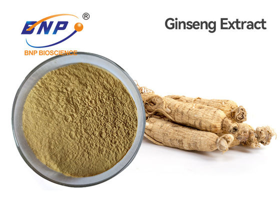 Panax Ginseng Ca Meyer Chiết xuất thực vật tự nhiên Ginsenoside 5%