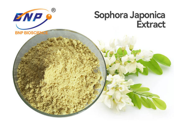Bột chiết xuất Sophora Japonica màu vàng Bột thực phẩm Quercetin Dihydrate