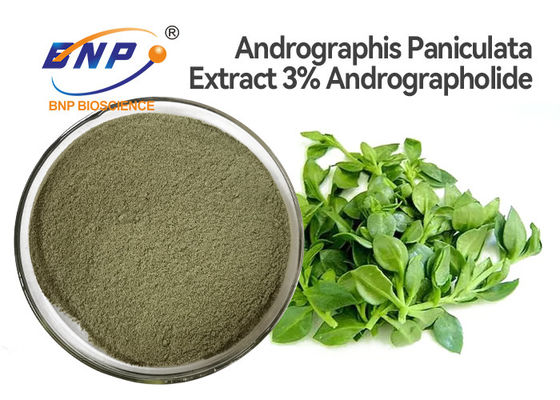 3% Andrographolide Bổ sung kháng vi rút tự nhiên Andrographis Paniculata Leaf Extract Powder
