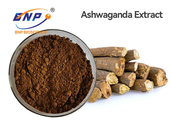 Withanolides 1,5% chiết xuất thực vật tự nhiên Ashwagandha Withania Somnifera Root