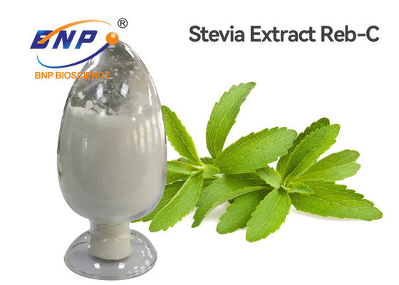 Khả năng hòa tan tốt Chiết xuất lá ngọt Stevia RB 95% HPLC Stevia Rebaudiana Powder