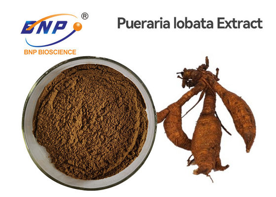 Củ sắn dây Chiết xuất thực vật tự nhiên Isoflavones 40% Bột Pueraria Lobata vàng nâu