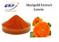 Chiết xuất cúc vạn thọ Bột Lutein 5% -90% Bột màu vàng cam