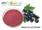 Màu đỏ tím Nước ép quả lý chua đen Bột thực phẩm Cấp độ sườn Chiết xuất trái cây Nigrum