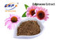 Chiết xuất Echinacea Purpurea Polyphenol 4% Cấp thực phẩm