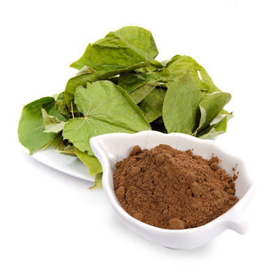 Chiết xuất Epimedium Icariin5% -98% Bột màu vàng nâu