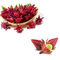 Chiết xuất Roselle Anthocyanins Brown Red Powder
