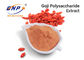 60% Polysaccharide Go Ji Extract Lycium Barbarum Fruit Powder