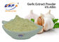 Bột chiết xuất tỏi không mùi GMP 4% Allicin BNP Brand