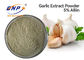 GMP kháng khuẩn Allium Sativum Bulb Extract 5% Allicin White Powder