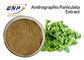 Bột chiết xuất Andrographis Paniculata kháng vi rút 50% Andrographolide HPLC