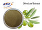 HPLC Màu nâu vàng chiết xuất thực vật tự nhiên Oleuropein 60% Bột chiết xuất từ ​​lá ô liu