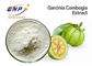 Bột mịn trắng Chiết xuất thực vật tự nhiên Axit hydroxycitric 50% 60% Chiết xuất Garcinia Cambogia