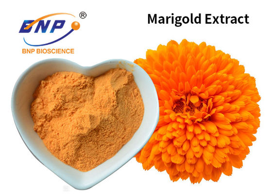 Chiết xuất cúc vạn thọ Bột màu vàng 10% ~ 80% Lutein Colorant Phụ gia thực phẩm Tagetes Erecta L.