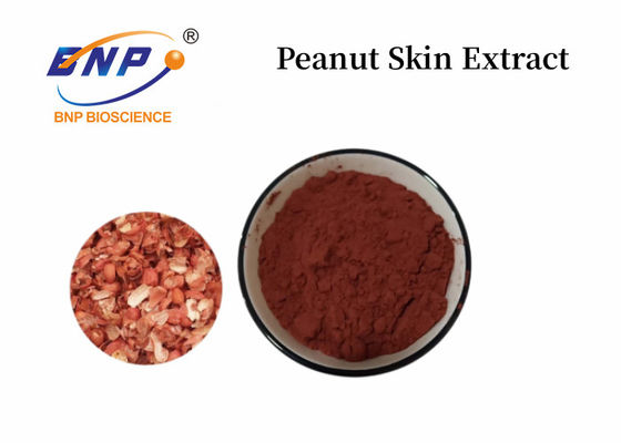 Chiết xuất vỏ đậu phộng 95% Proanthocyanidins trong lĩnh vực dược phẩm