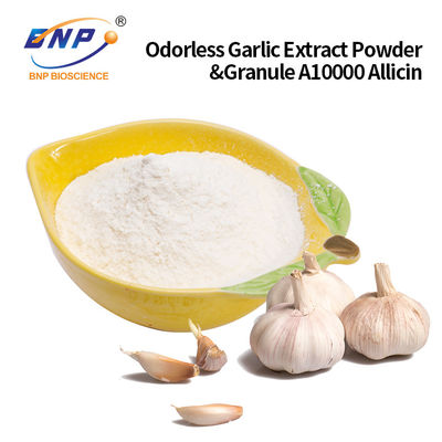 Bột chiết xuất tỏi không mùi & hạt A10000 Allicin được chấp nhận tùy chỉnh